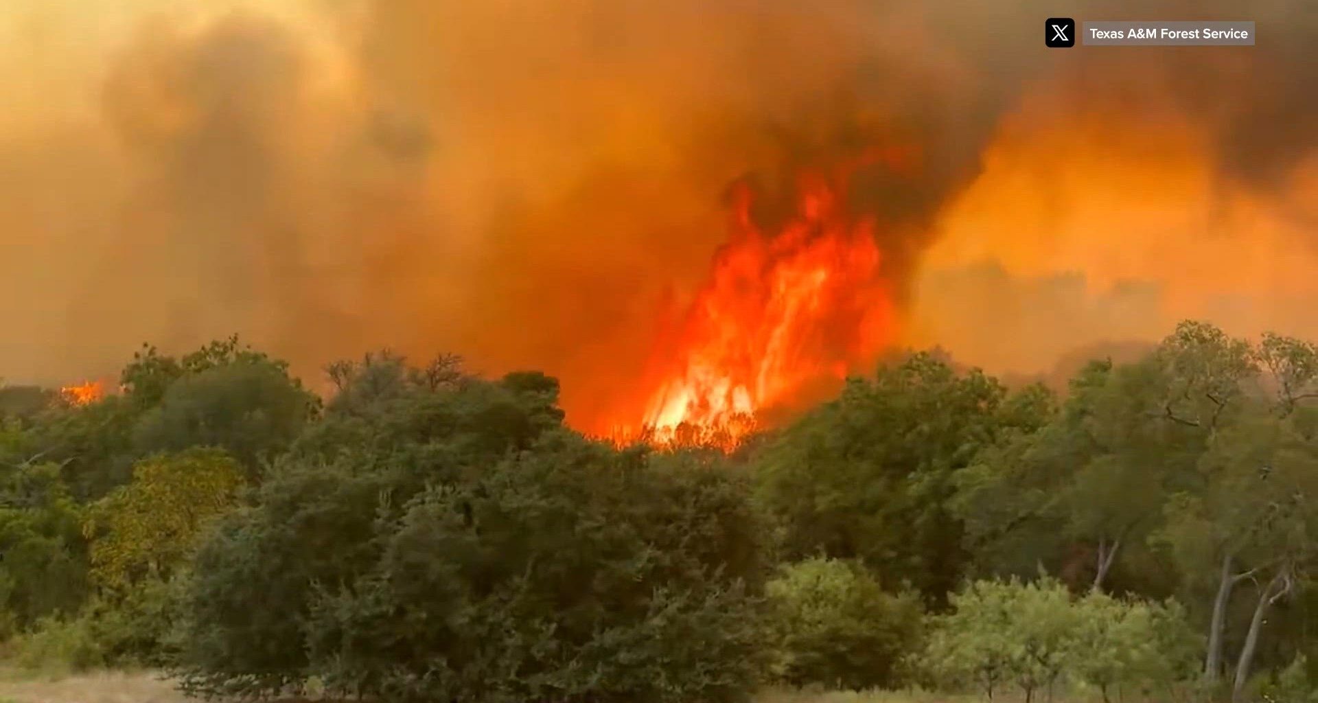 Latest on where North Texas wildfires are currently burning in Plano Pinto, Jack County