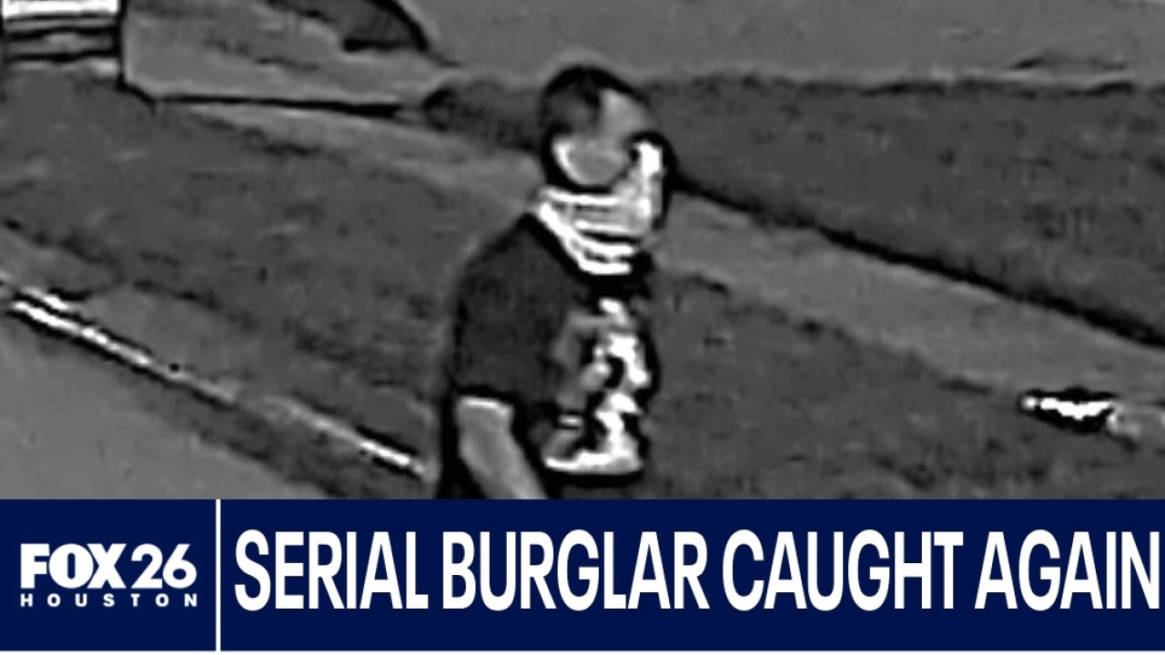 Serial burglar caught again 