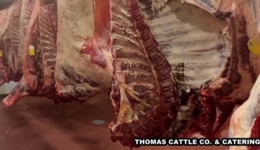 Houston rancher sees sales triple after President Trump's beef import announcement