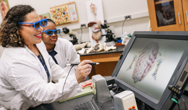 A professor and a student look at an image of a brain on an interactive monitor.