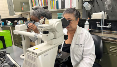 As Candida auris spreads, UT Health San Antonio scientist highlights growing threat of antifungal resistance