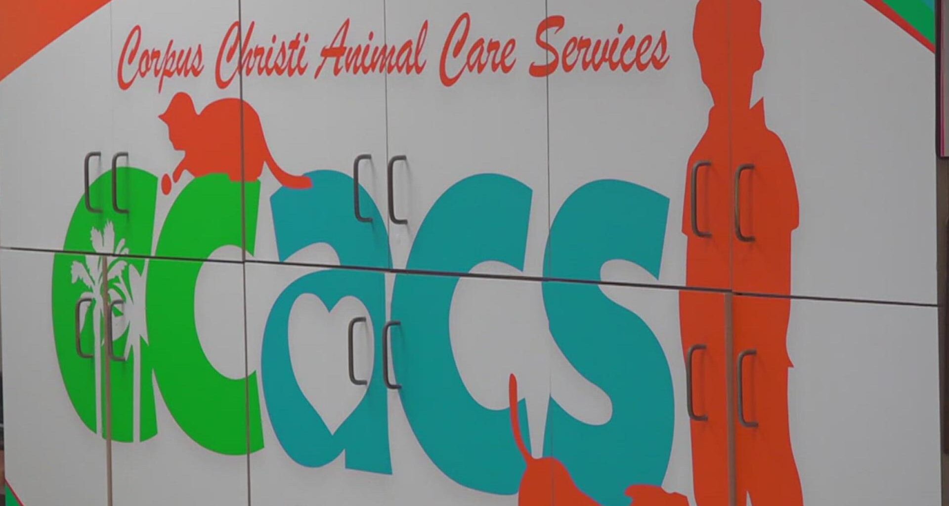 Corpus Christi Animal Care Services director resigns as city continues search for permanent leader