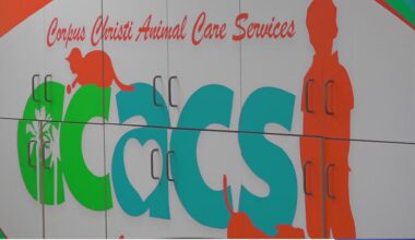 Corpus Christi Animal Care Services director resigns as city continues search for permanent leader