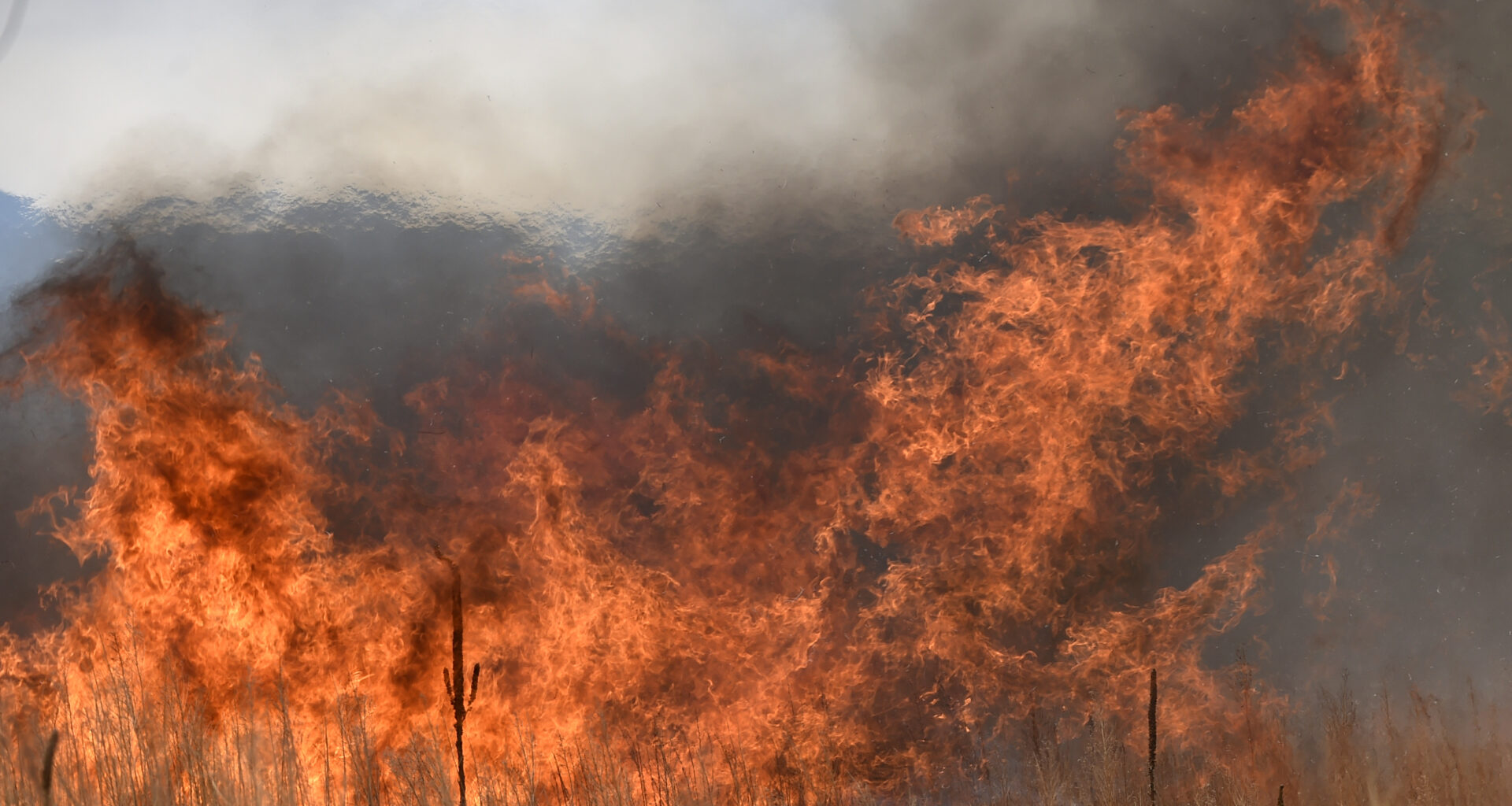 Colorado wildfire: Evacuation order lifted in El Paso County for 'rapidly growing fire'
