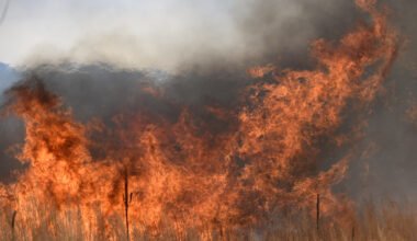 Colorado wildfire: Evacuation order lifted in El Paso County for 'rapidly growing fire'