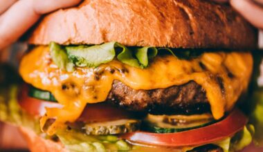 'Cheeseburger Index' finds four cities under $15 for a meal