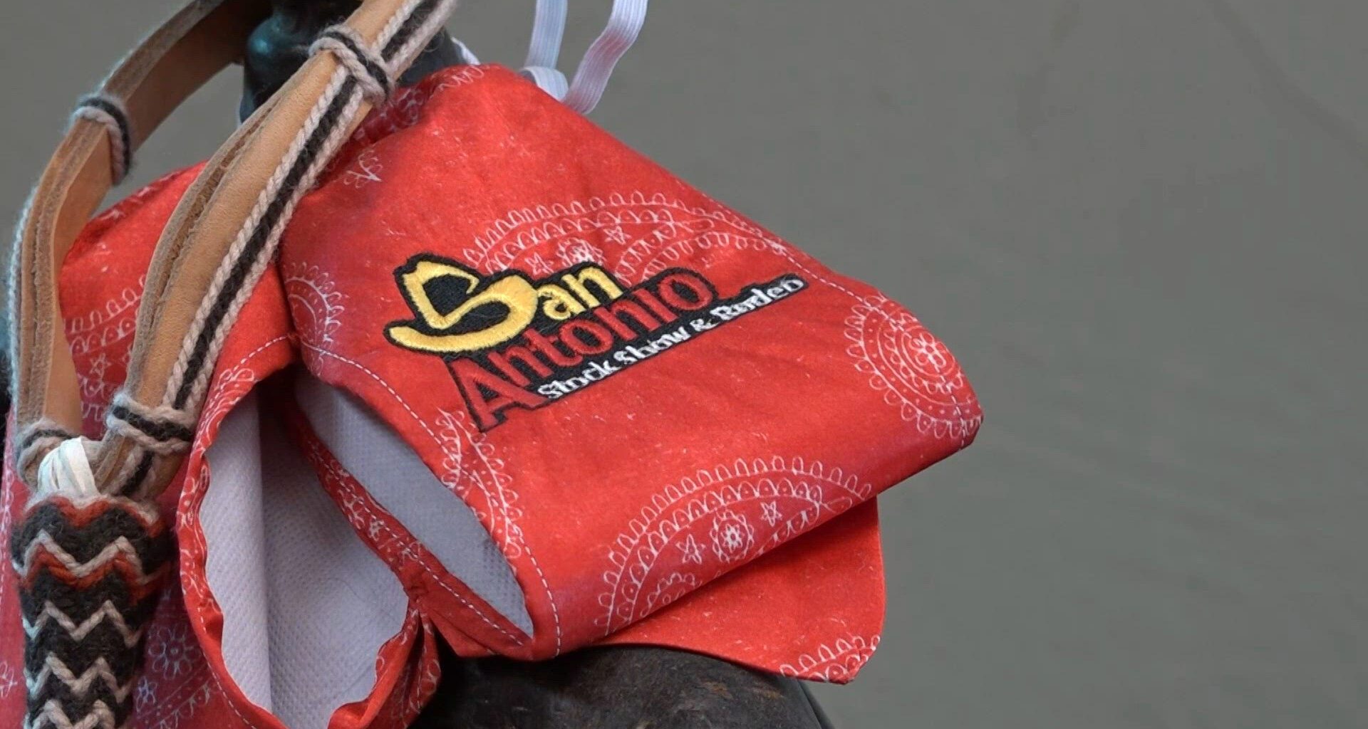 San Antonio Rodeo says early Freeman Coliseum redevelopment concept threatened expansion plans