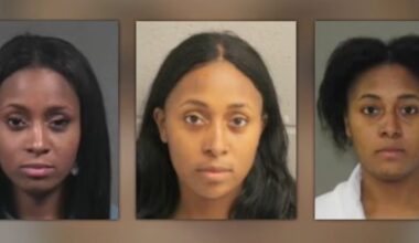 Habitual career thief now wanted for alleged Houston hit-and-run