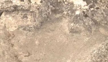 Hutto hiker discovers impressively preserved dinosaur track