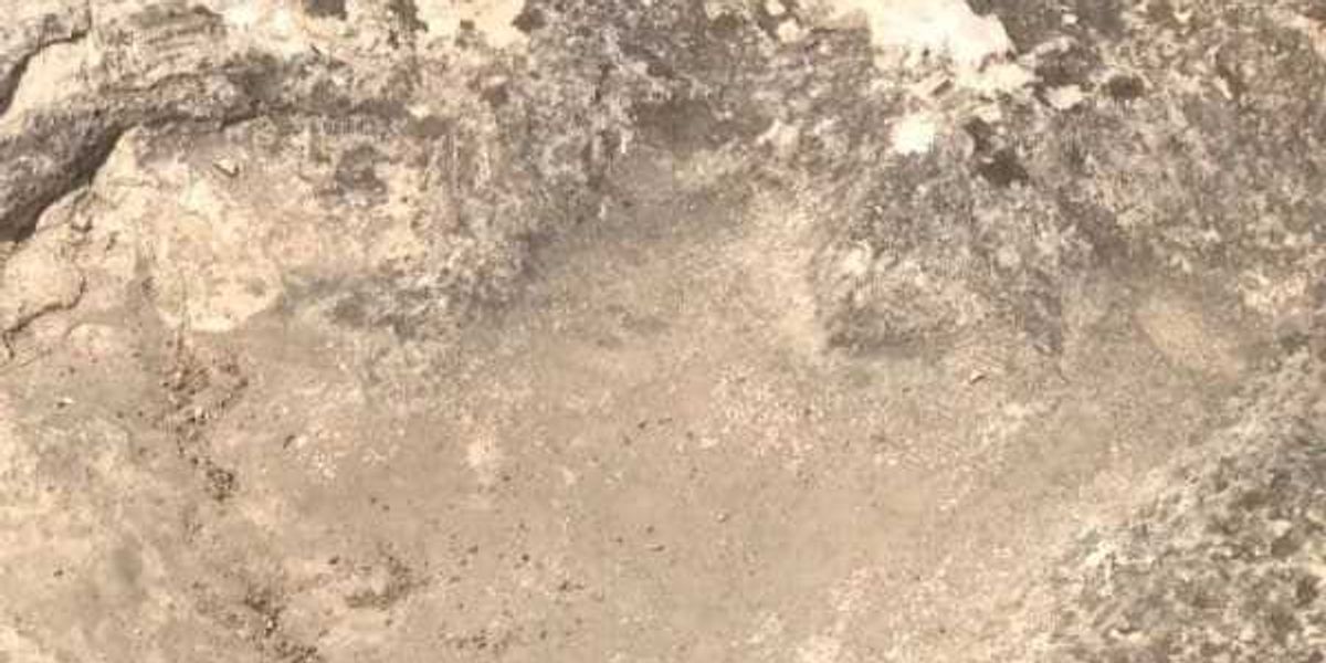 Hutto hiker discovers impressively preserved dinosaur track