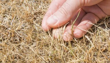 Tarrant County Commissioners approve 90-day outdoor burning ban because of severe drought conditions
