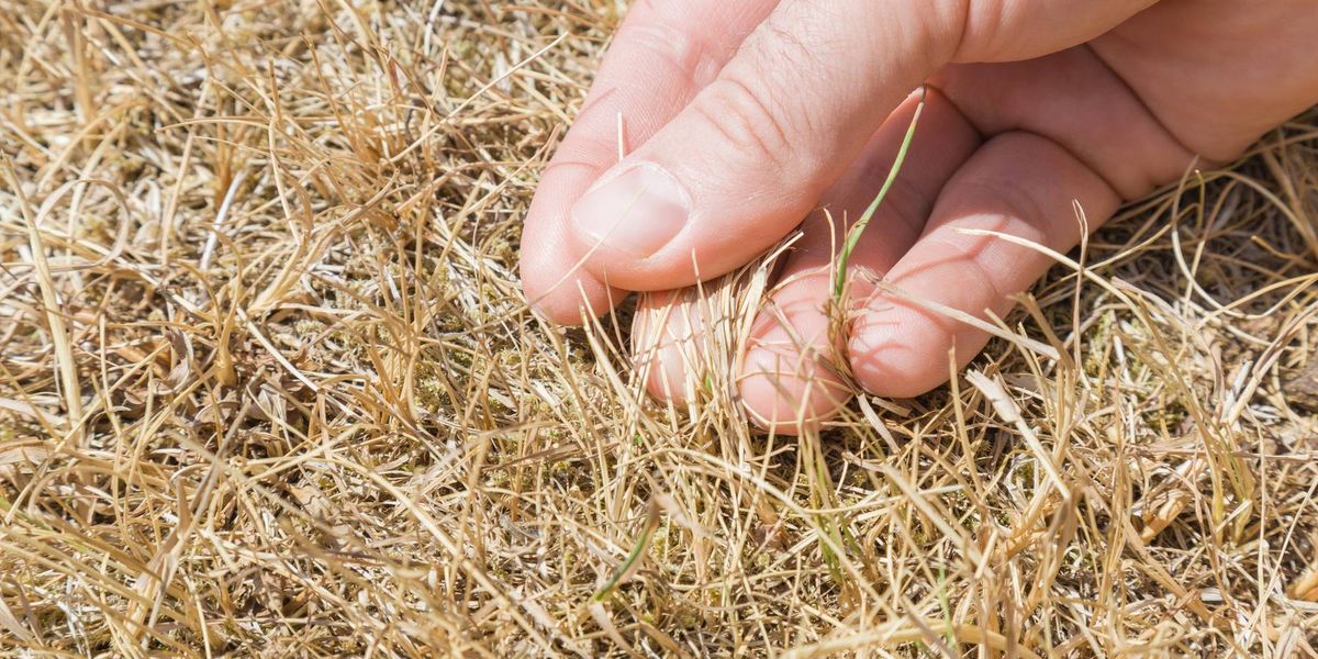 Tarrant County Commissioners approve 90-day outdoor burning ban because of severe drought conditions