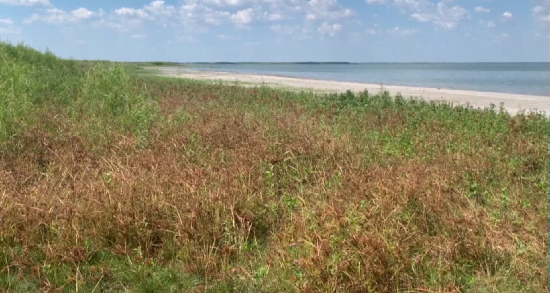 Corpus Christi set to return to stage 2 water restrictions as lake levels rise