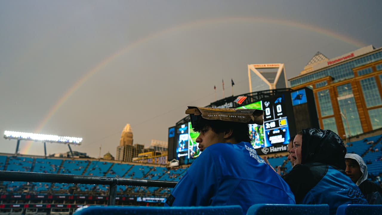 Panthers finish the preseason 3-1 after win over the Texans