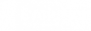 Evolution Moving Company