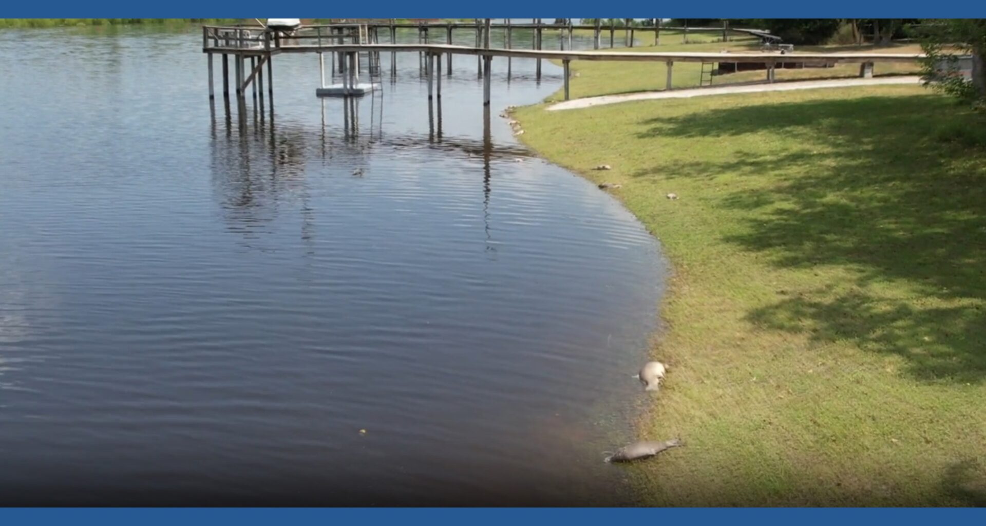Fish kills reported near Lake Corpus Christi as water from recent floods continues flowing downstream