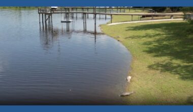 Fish kills reported near Lake Corpus Christi as water from recent floods continues flowing downstream