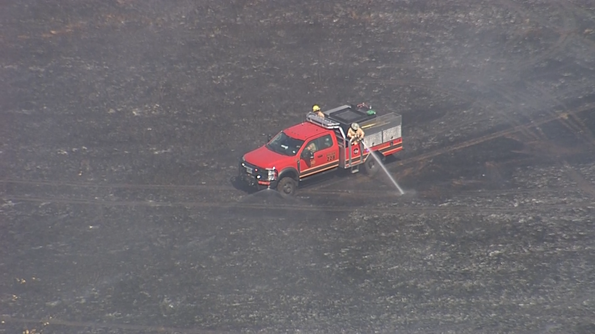 Grass fire burns field near Alliance Airport in Haslet – NBC 5 Dallas-Fort Worth