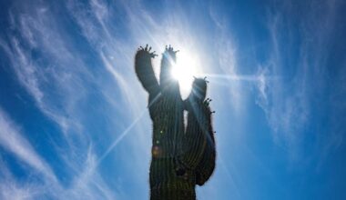 Record heat targets Texas, Oklahoma as Southern Plains bake