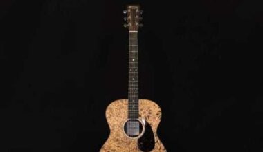 Auction for Austin orgs includes George Strait guitar + more