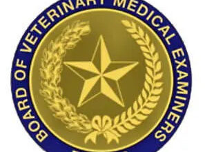 Proposed Texas Veterinary Board Rules Raise Concerns Among Equine Therapy Professionals