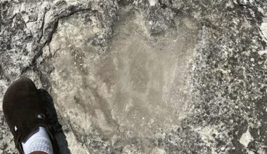 Giant footprints found at Texas fishing spot may be prehistoric