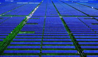 Texas Avoids Blackout by the Grace of Solar Power