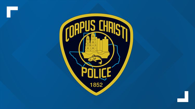 Corpus Christi police clarify use of license plate reader cameras ahead of City Council briefing