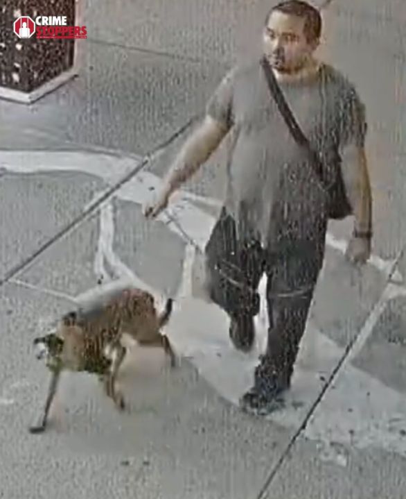 Police seek justice for abandoned pup in El Paso