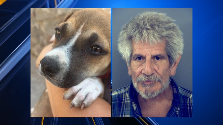 El Paso man convicted of animal cruelty arrested in new puppy abuse case