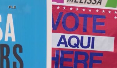 ID requirements for mail-in voting in Texas reinstated by federal appeals court