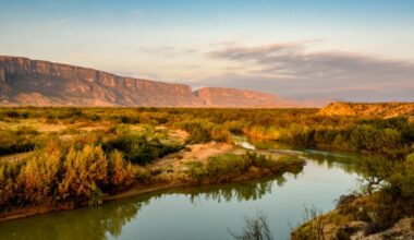 Texas GOP lawmaker predicts fallout for his party over Big Bend border work
