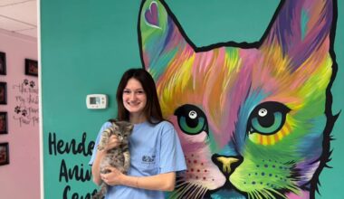 In Texas, waived fees could help more shelter pets leave crowded kennels this August
