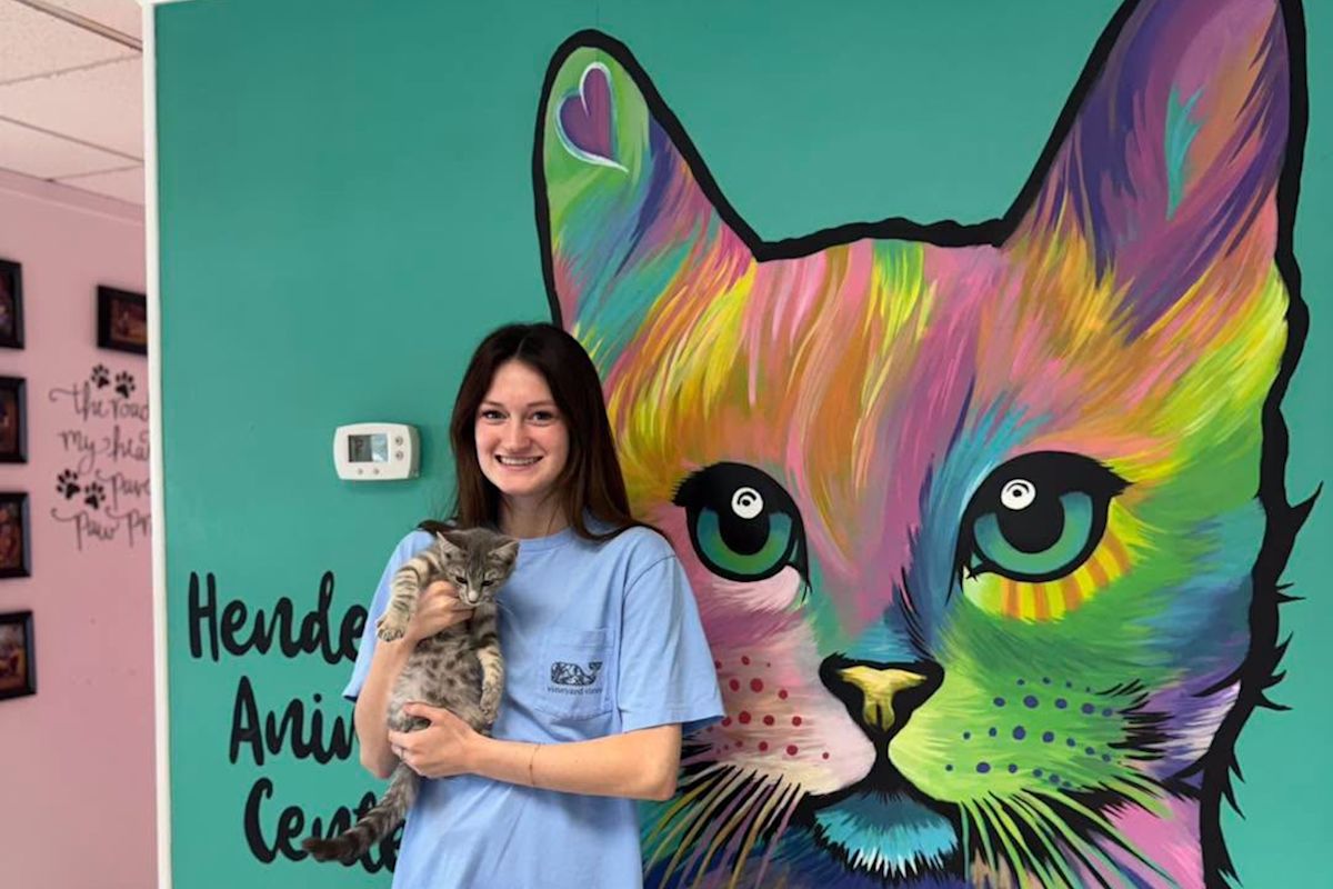 In Texas, waived fees could help more shelter pets leave crowded kennels this August