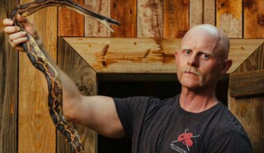 In Texas, one snake-filled house call launched a 10-year business keeping homes safer