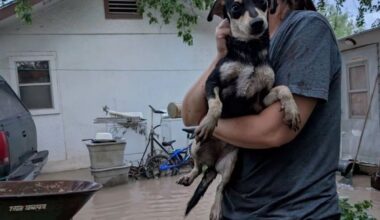 Texas crews spend hours reaching dogs trapped in flooded homes after evacuation