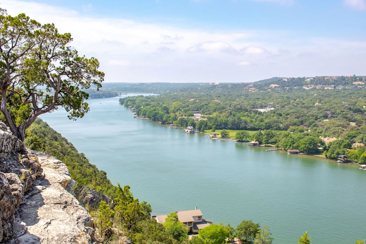 Invasive hydrilla is taking over Lake Austin, Texas, and drought is making it harder to stop