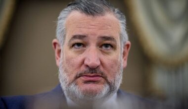 ‘Real fight’: Cruz says Texas election hinges on voter turnout