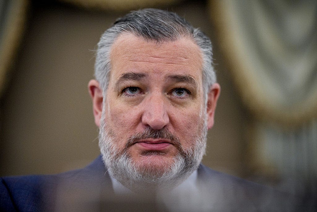 ‘Real fight’: Cruz says Texas election hinges on voter turnout