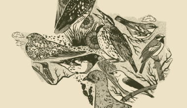 Great Texas Birding Classic Breaks Records in its 30th Year