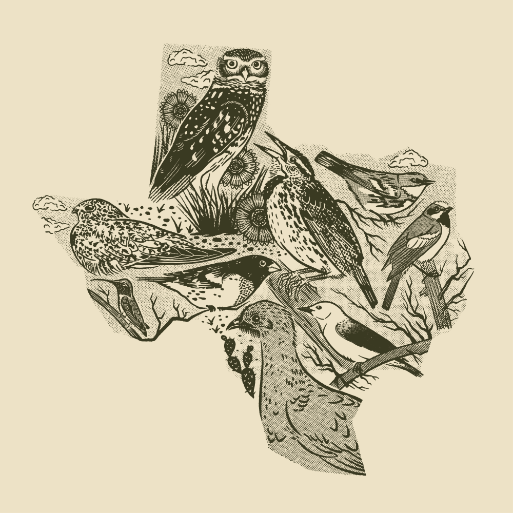 Great Texas Birding Classic Breaks Records in its 30th Year
