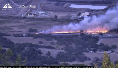 Vegetation fire makes its way into solar facility in Sonoma County – NBC Bay Area