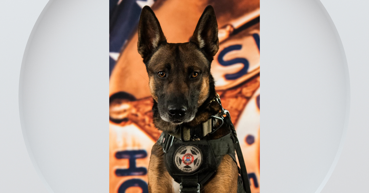 k9-styx-el-paso-county.png