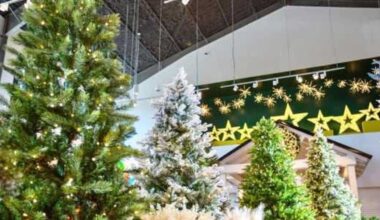 Madisonville Christmas Company to open new store in Plano