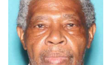 Official alert photograph of Louis Hines