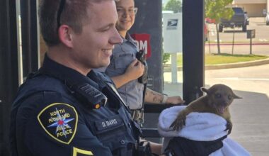 Kangaroo or Monkey? Texas Cops Rescue Mystery Creature With Burned Paws