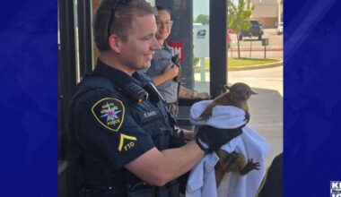 North Richland Hills Police rescue exotic animal from the brutal Texas heat