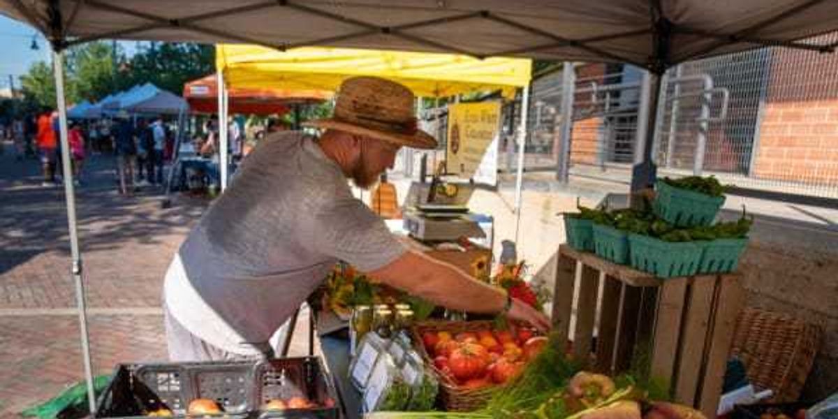 5 best San Antonio farmers markets for summer produce