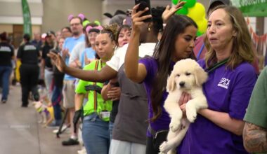 North Texas animal shelters showcase adoptable pets at mega adoption event
