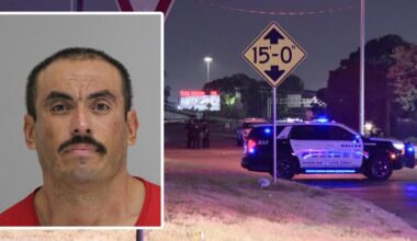 Suspect used metal rake to critically injure Dallas security guard: police